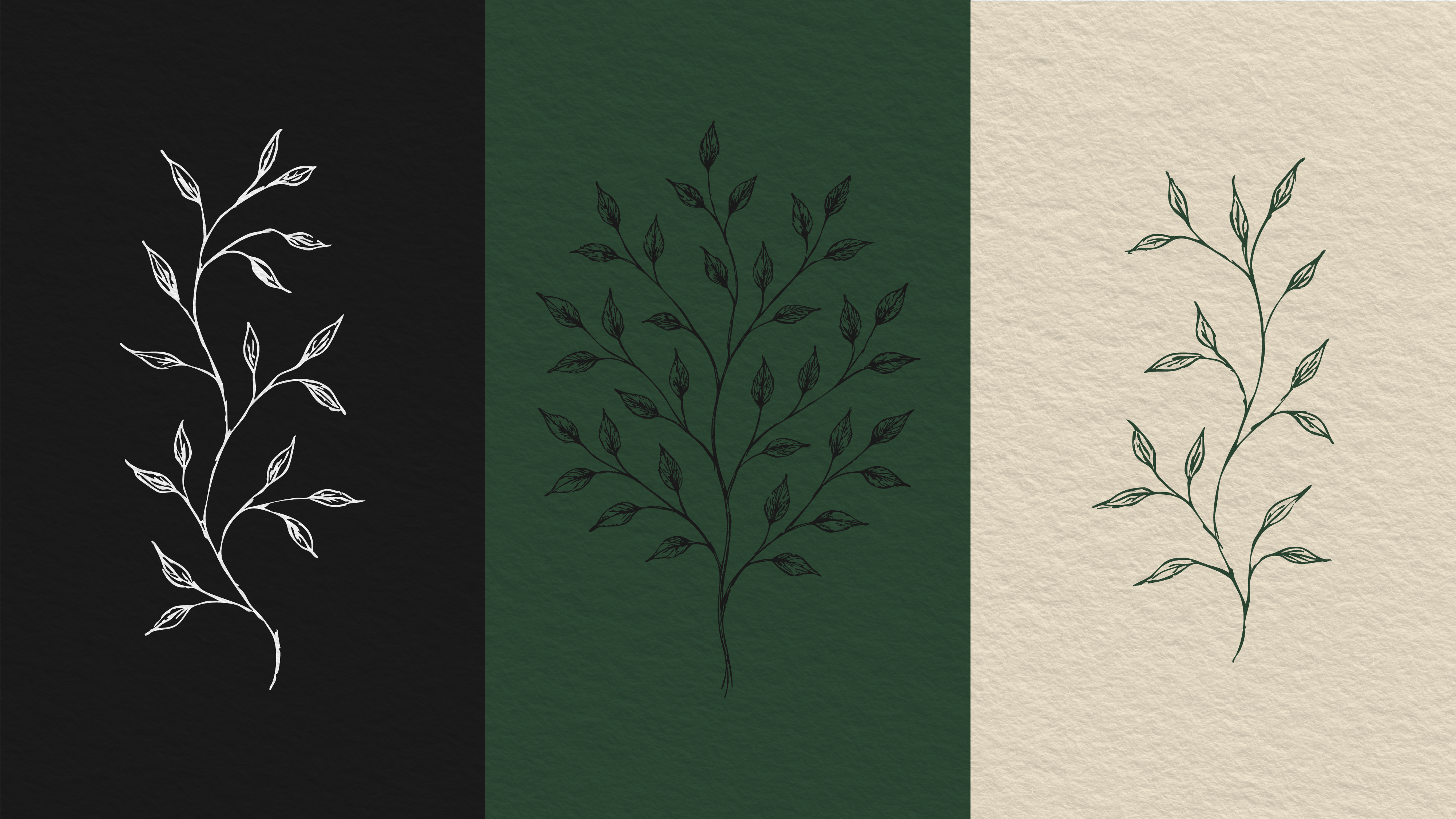 Verdante brand decorative visual