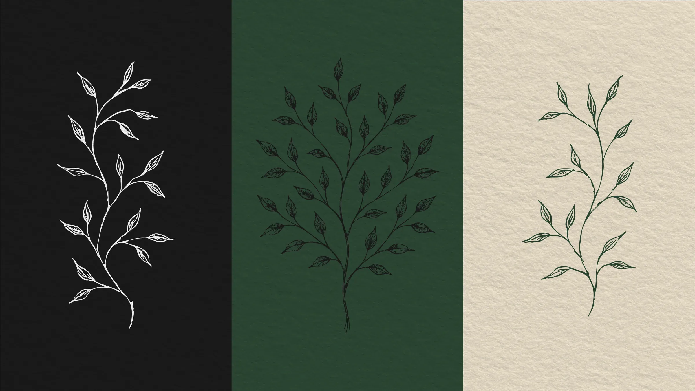 Verdante brand decorative visual